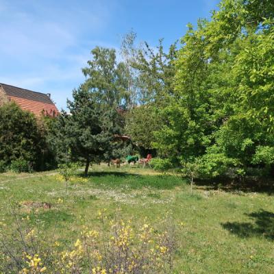 Img 3033 Garten
